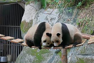 雷电竞app下载软件